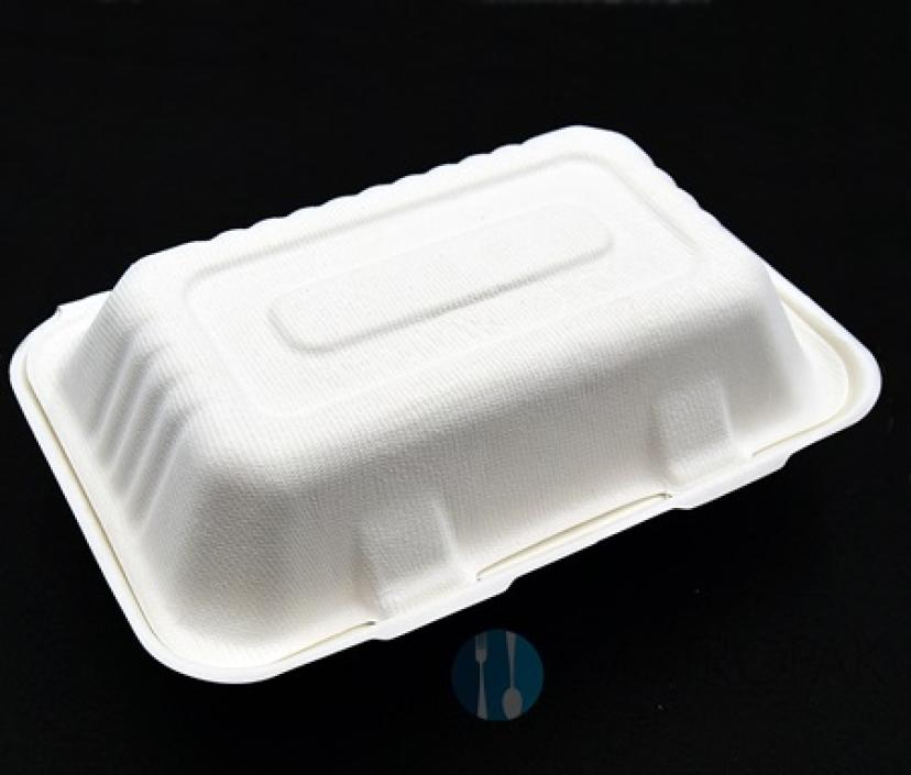 Pojemnik lunch box trzcina cukrowa 23/15 cm (50)