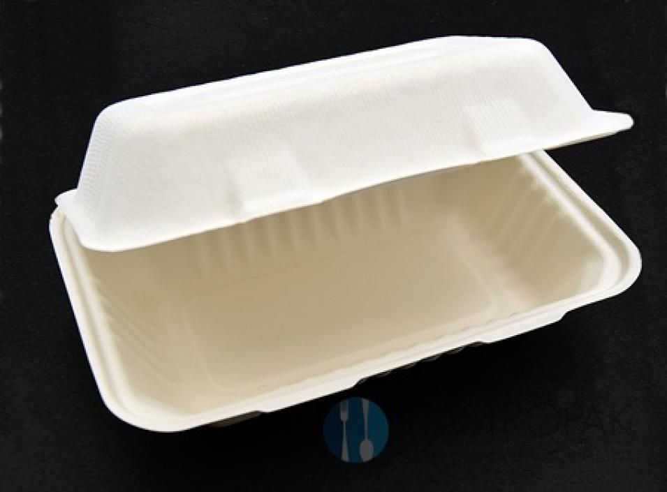 Pojemnik lunch box trzcina cukrowa 23/15 cm (50)